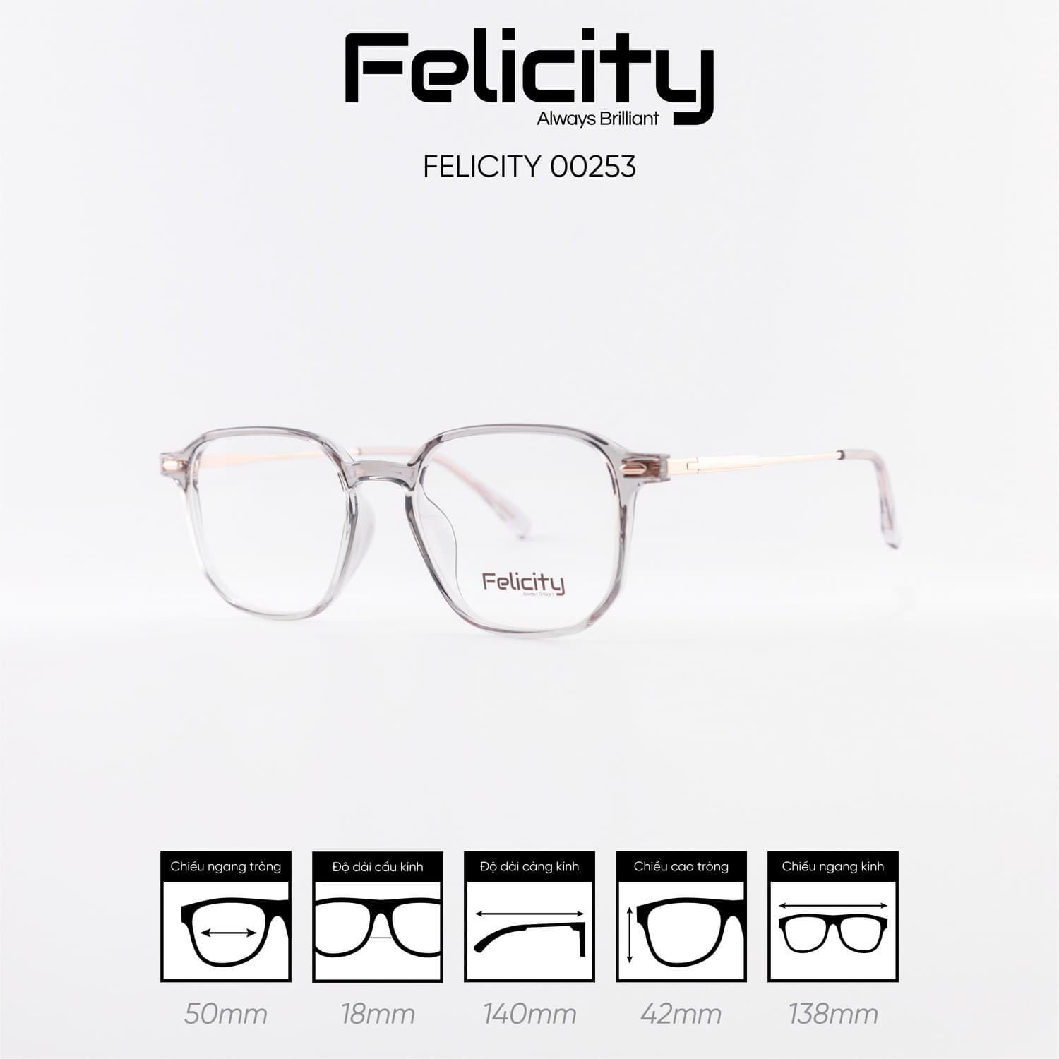 Gọng kính FELICITY 00253 - Ảnh 9