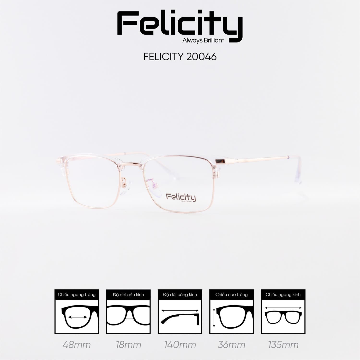Gọng kính FELICITY 20046 - Ảnh 7