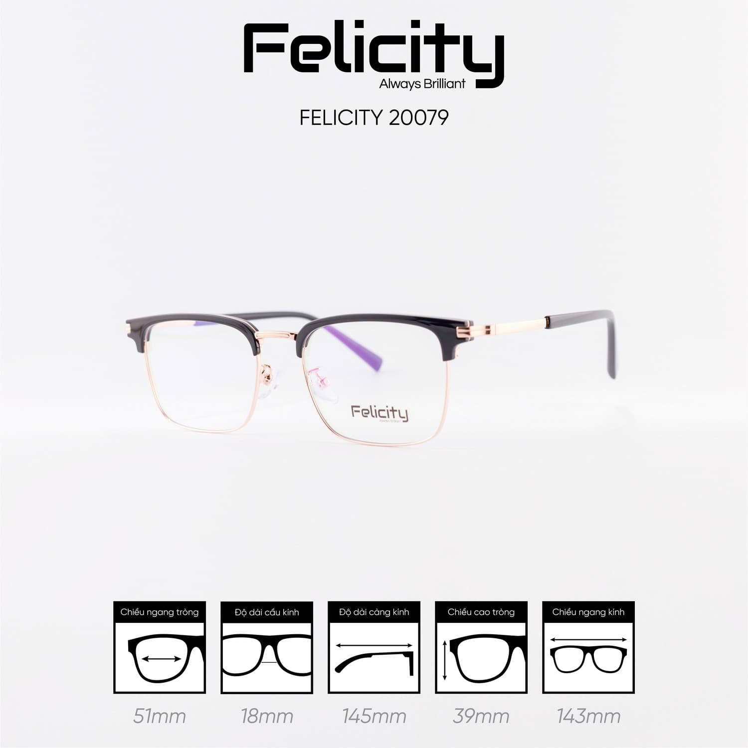 Gọng kính FELICITY 20079 - Ảnh 8