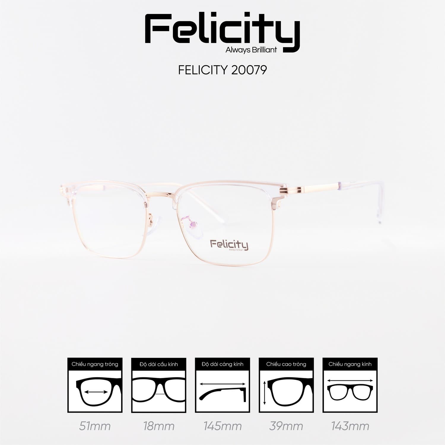 Gọng kính FELICITY 20079 - Ảnh 9