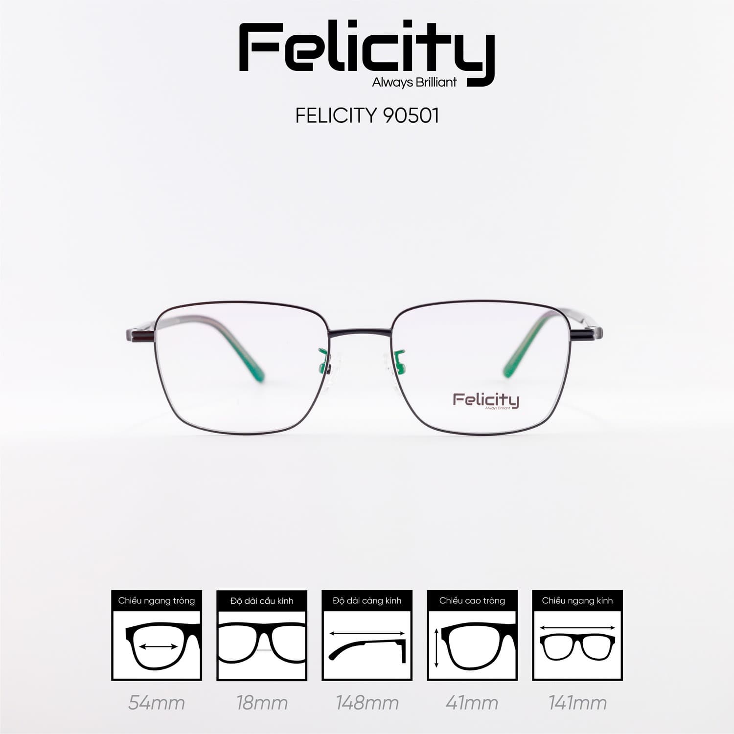 Gọng kính FELICITY 90501 - Ảnh 1