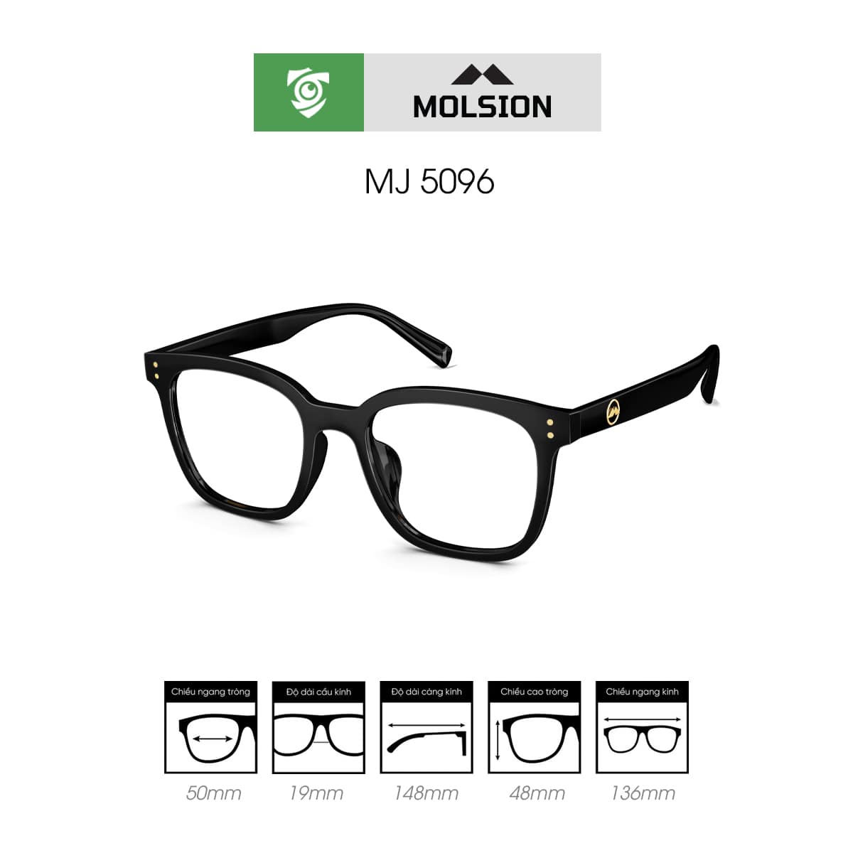 Gọng kính MOLSION MJ5096 - Ảnh 2