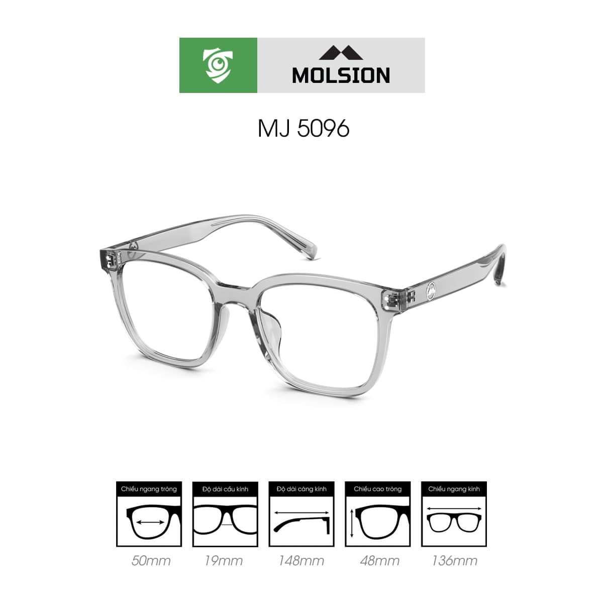 Gọng kính MOLSION MJ5096 - Ảnh 4
