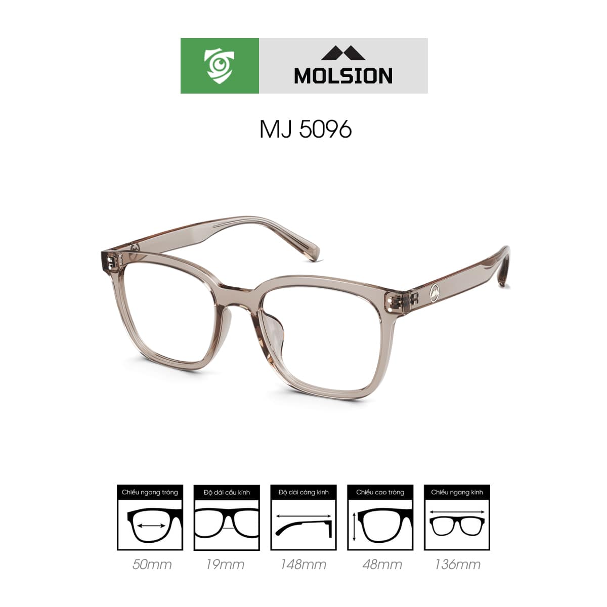 Gọng kính MOLSION MJ5096 - Ảnh 5