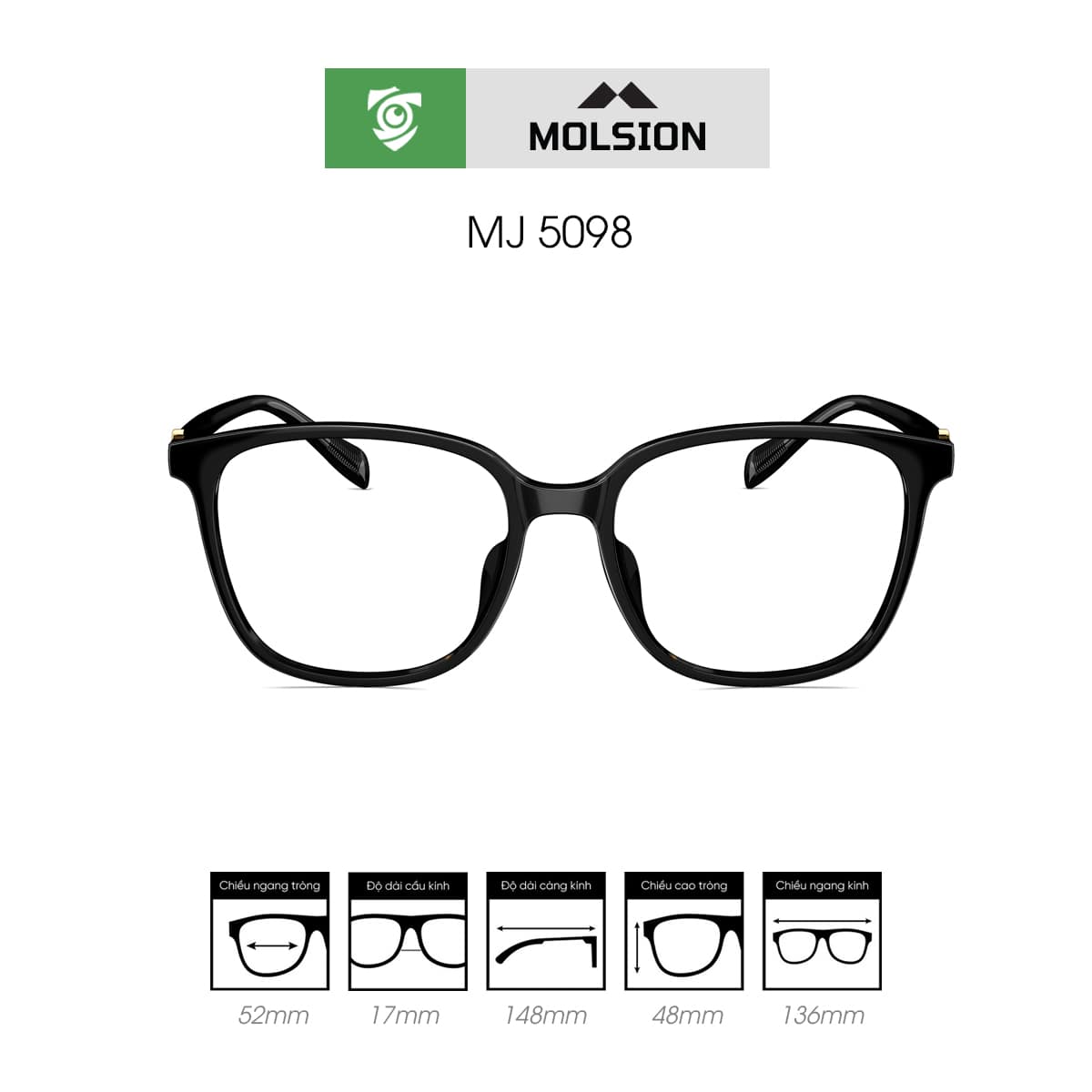 Gọng kính MOLSION MJ5098 - Ảnh 1