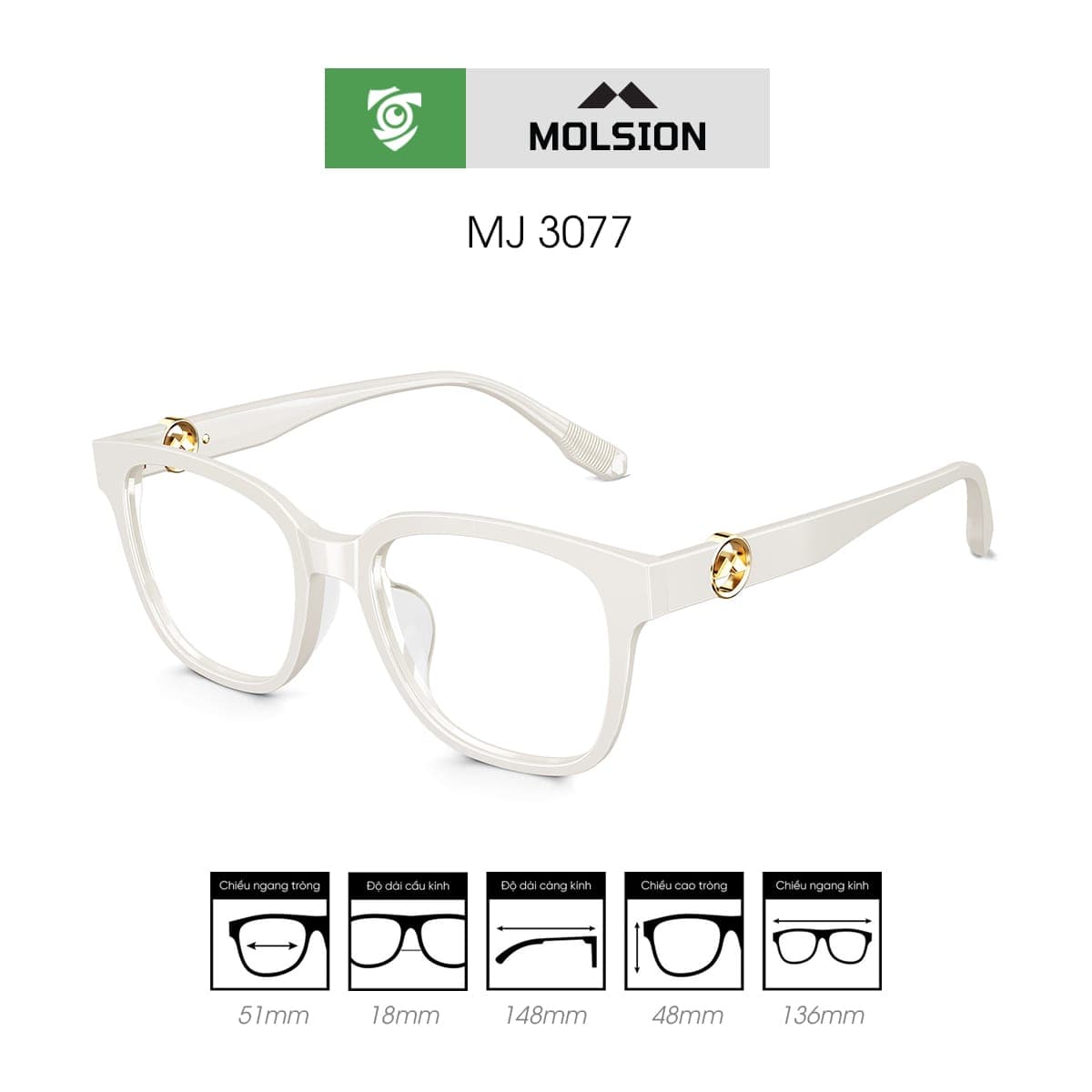 Gọng kính MOLSION MJ3077 - Ảnh 5
