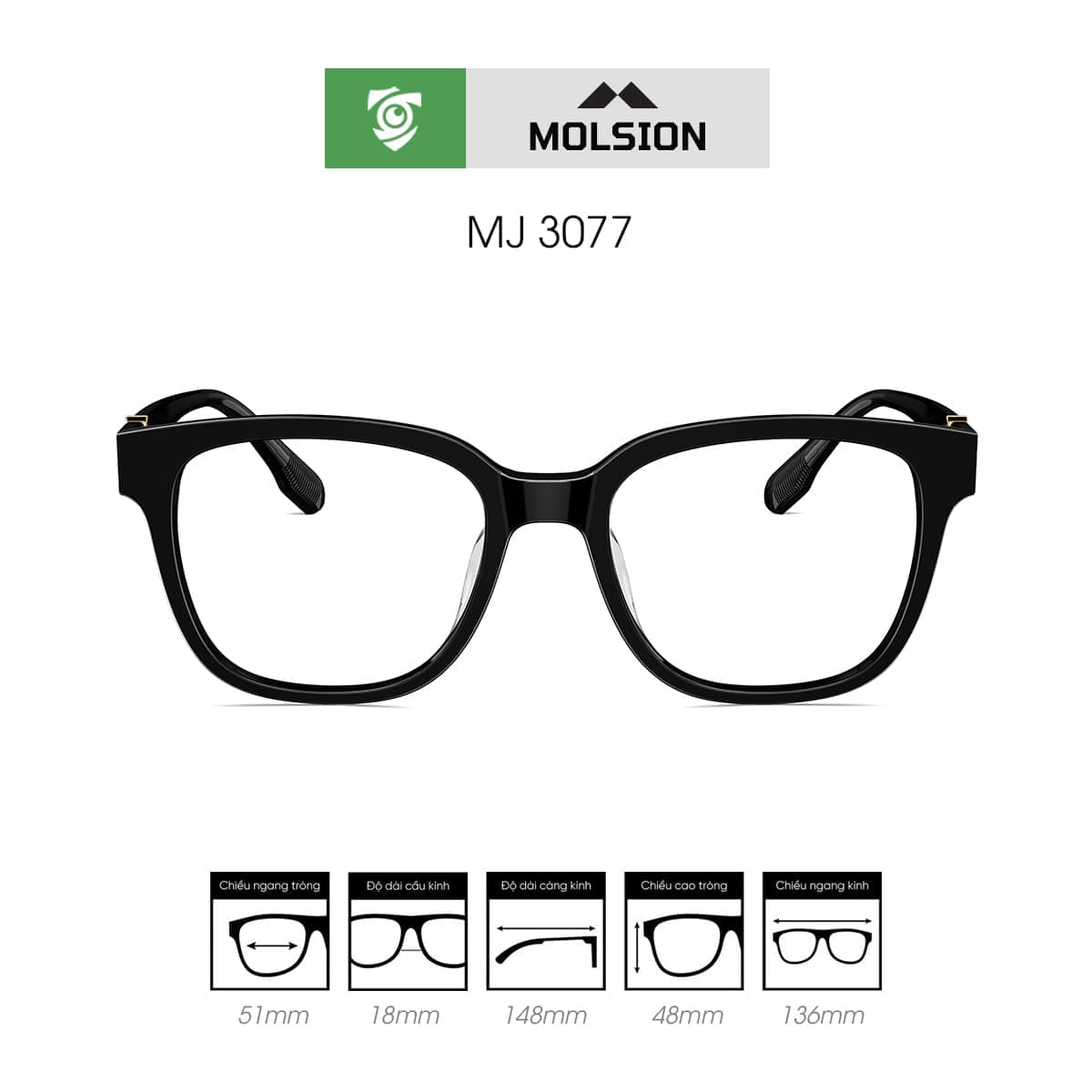 Gọng kính MOLSION MJ3077 - Ảnh 1