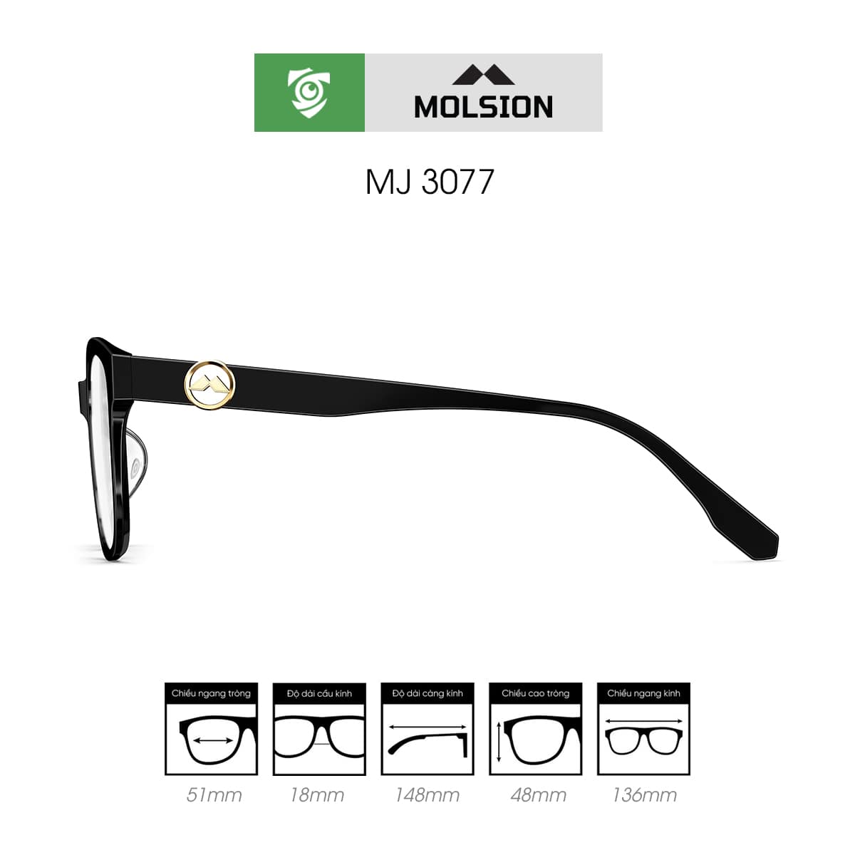 Gọng kính MOLSION MJ3077 - Ảnh 3