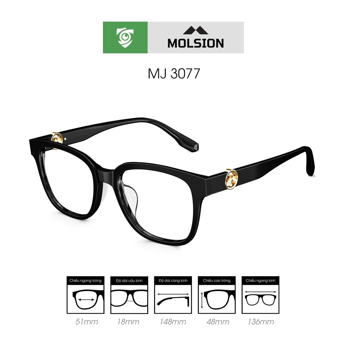 Gọng kính MOLSION MJ3077 - Ảnh 2
