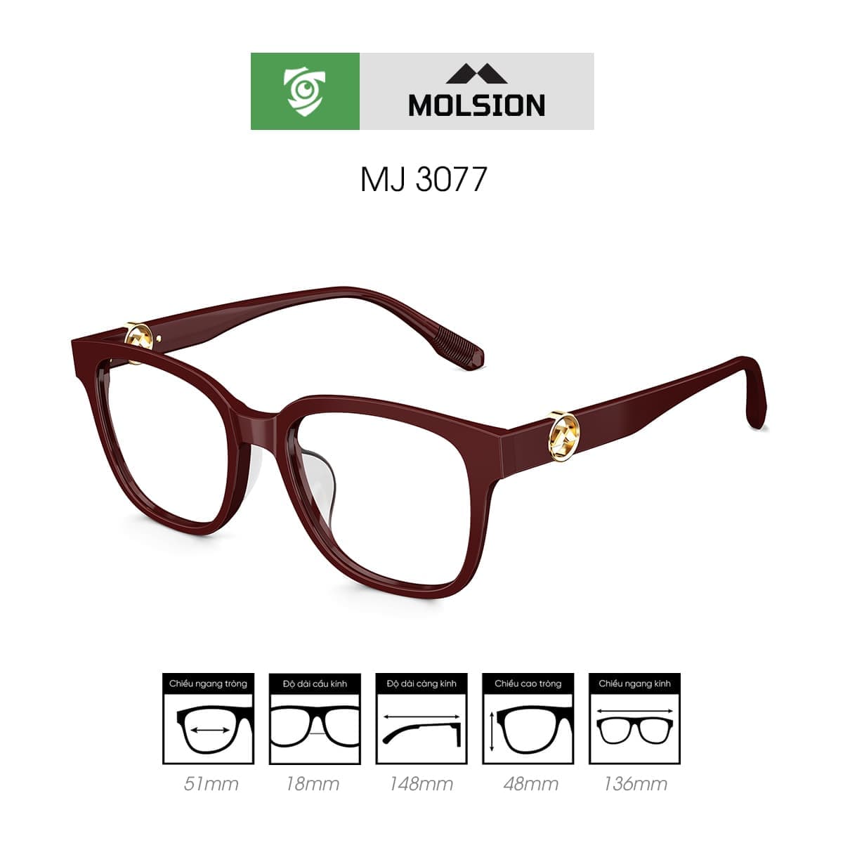 Gọng kính MOLSION MJ3077 - Ảnh 4