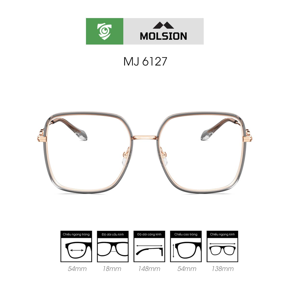 Gọng kính MOLSION MJ6127 - Ảnh 1