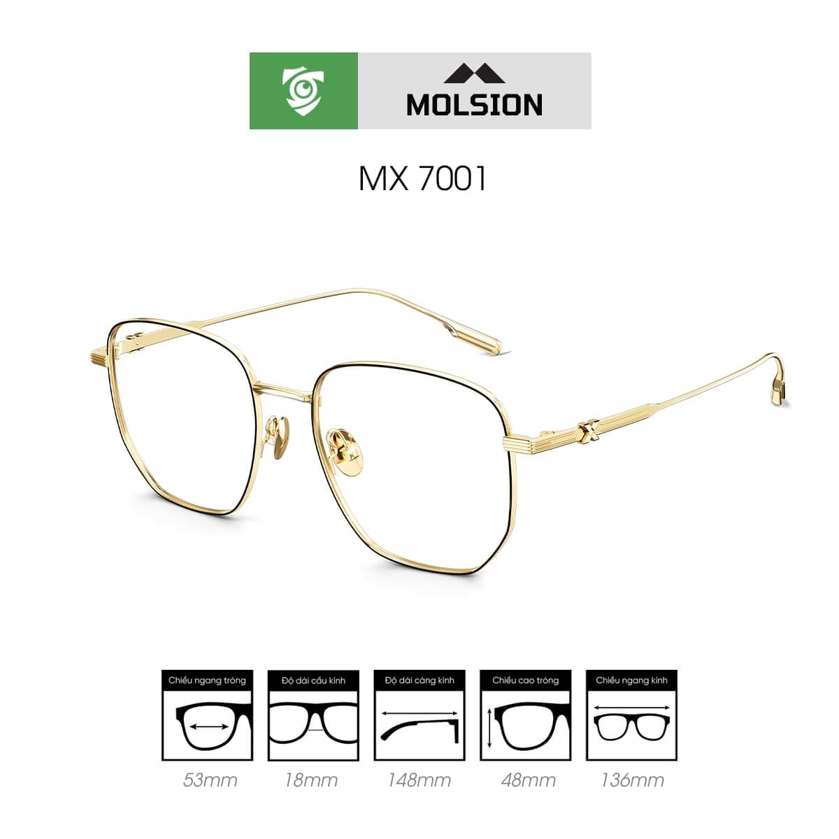 Gọng kính MOLSION MX7001 - Ảnh 7
