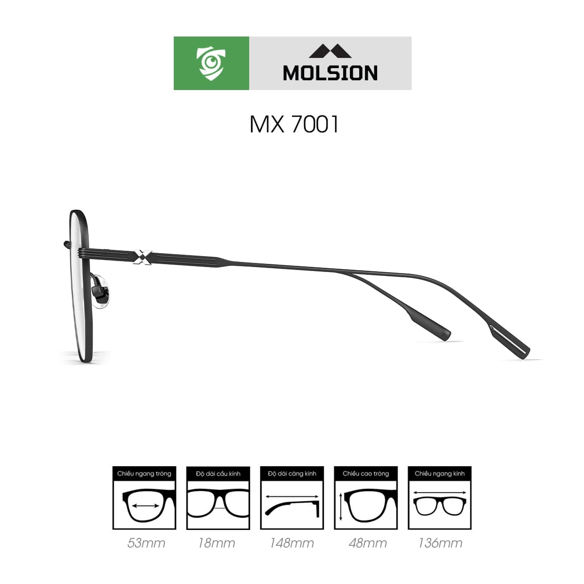 Gọng kính MOLSION MX7001 - Ảnh 3