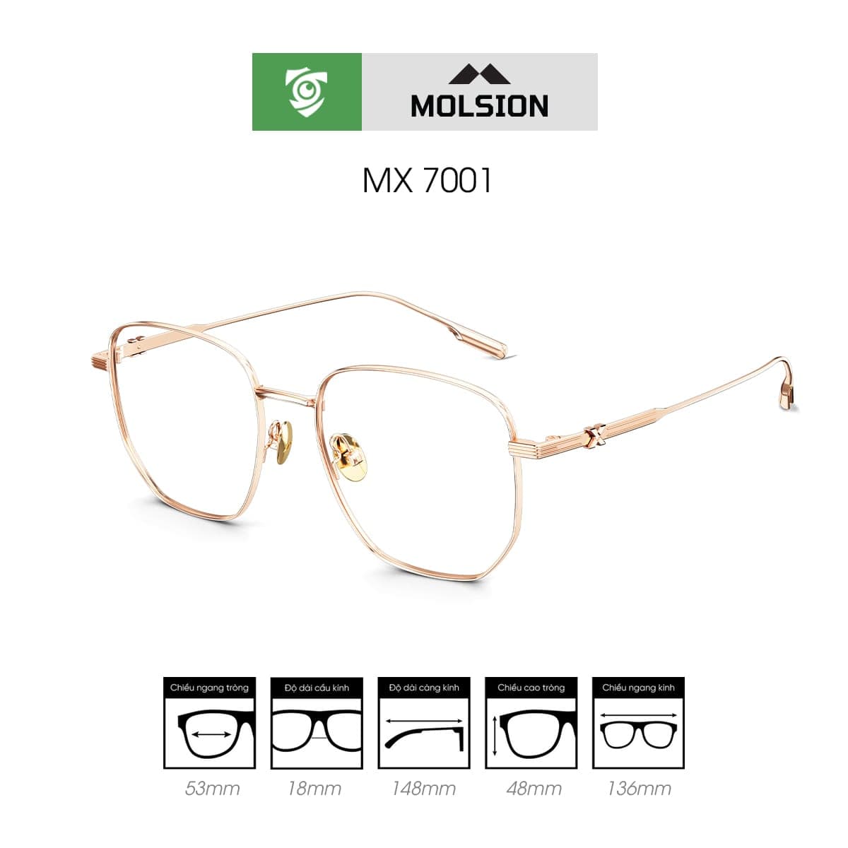 Gọng kính MOLSION MX7001 - Ảnh 6
