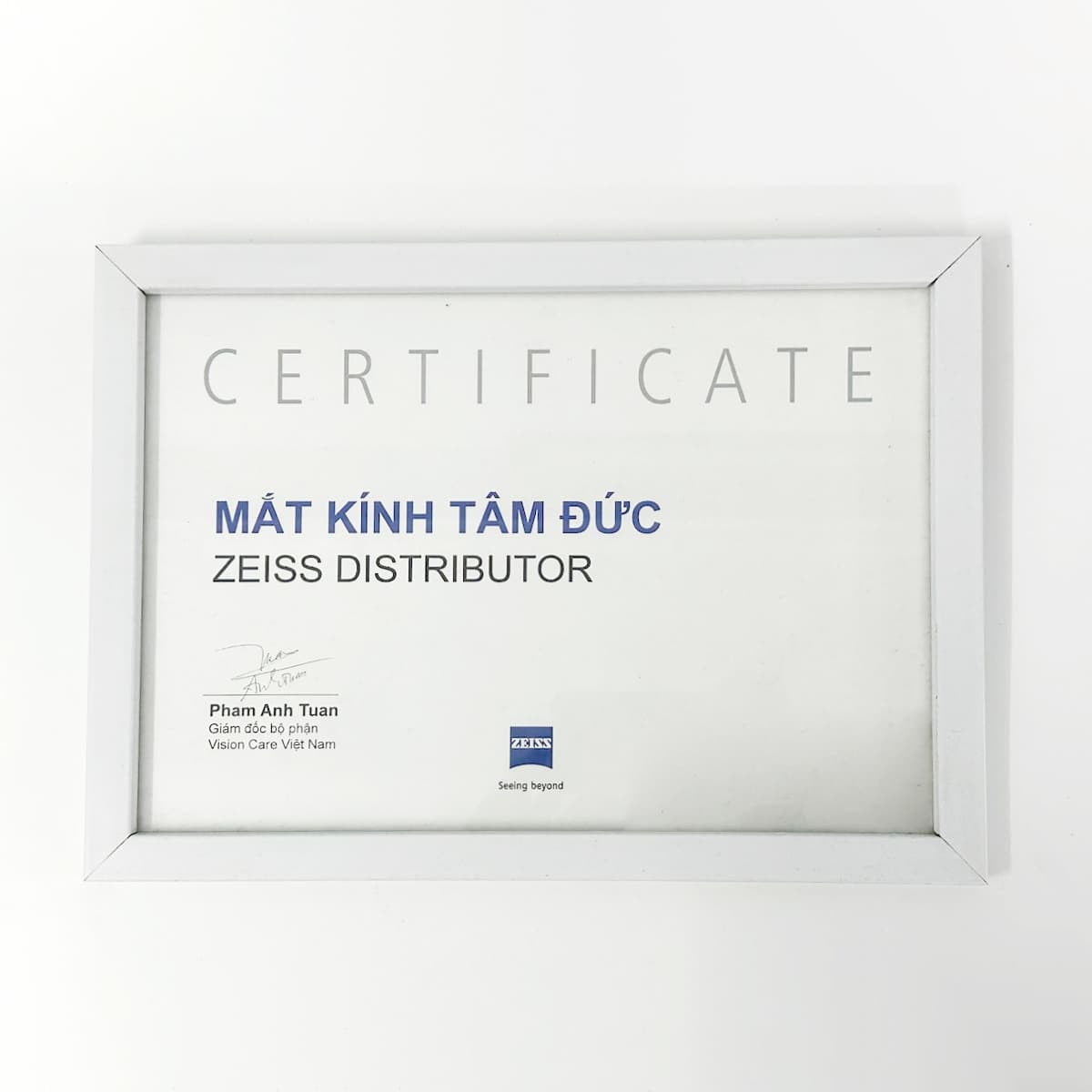 Tròng kính đa tròng ZEISS LIGHT 2 3Dv - Chất lượng quang học tập trung vào cuộc sống - Ảnh 3