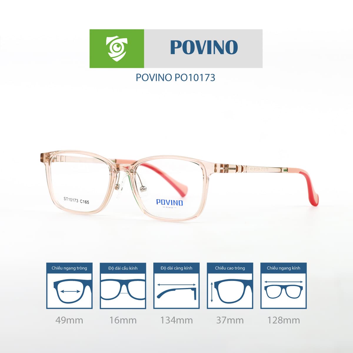Gọng kính POVINO PO10173 - Ảnh 6
