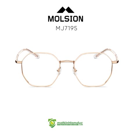 Gọng kính MOLSION MJ7195