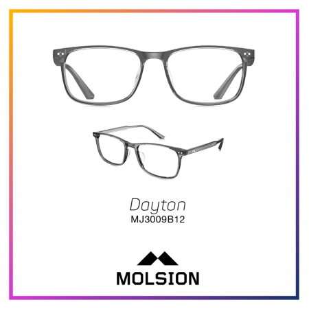 Gọng kính Molsion-MJ3009 - Hình ảnh 4