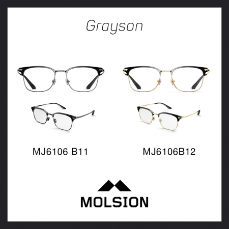 Gọng kính Molsion-MJ6106 - Ảnh 4