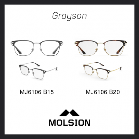 Gọng kính Molsion-MJ6106 - Ảnh 3