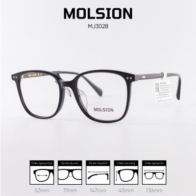 Gọng kính MOLSION MJ3028