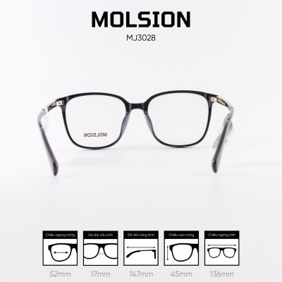 Gọng kính MOLSION MJ3028 