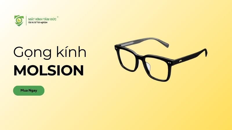 Gọng kính Molsion