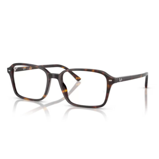 Gọng kính Rayban 0RX5431F - Hình ảnh 4