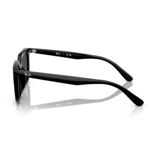 Kính mát Rayban 0RB4439D - Hình ảnh 9