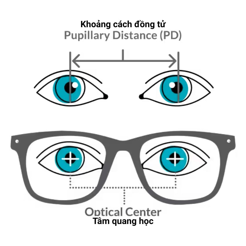 ơ đồ khoảng cách đồng tử PD và tâm quang học của tròng kính