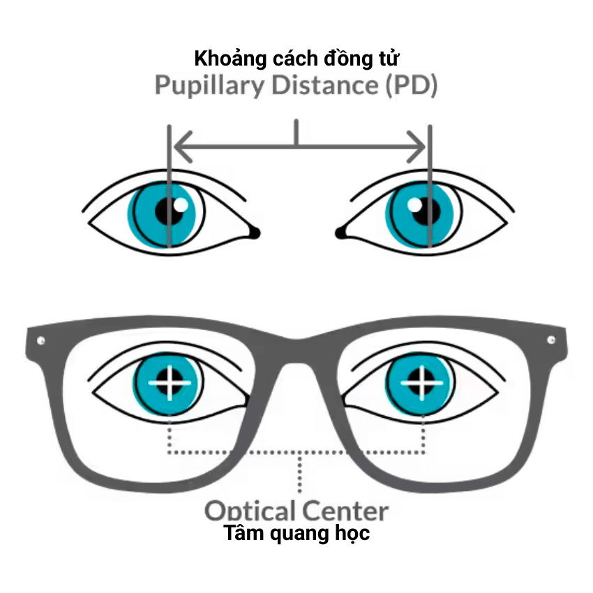 ơ đồ khoảng cách đồng tử PD và tâm quang học của tròng kính