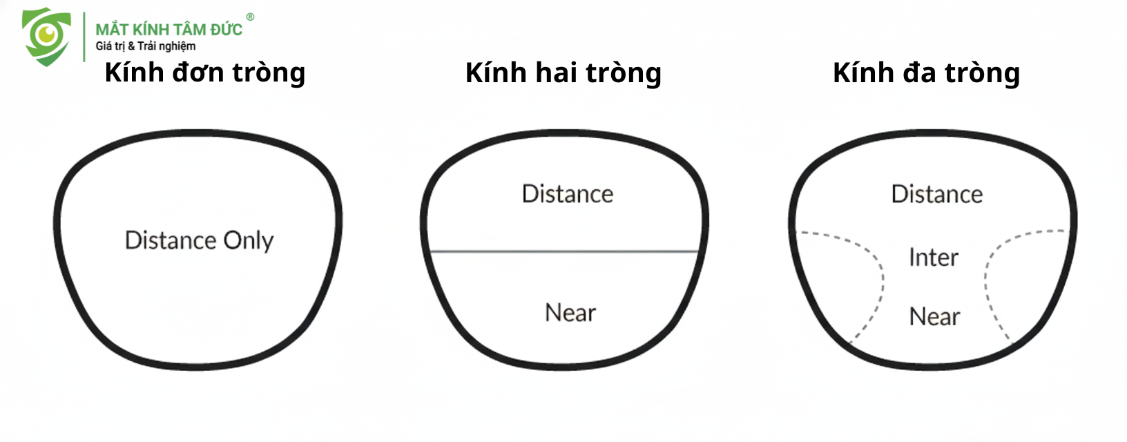 Đây là chi tết 3 loại kính về tầm nhìn