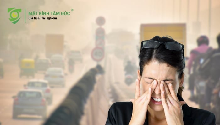 Các thành phần ô nhiễm không khí không chỉ là khói bụi thông thường, mà còn là hỗn hợp các hạt vật chất và khí độc cực kỳ nguy hiểm, là nguyên nhân hàng đầu gây nên các vấn đề về mắt