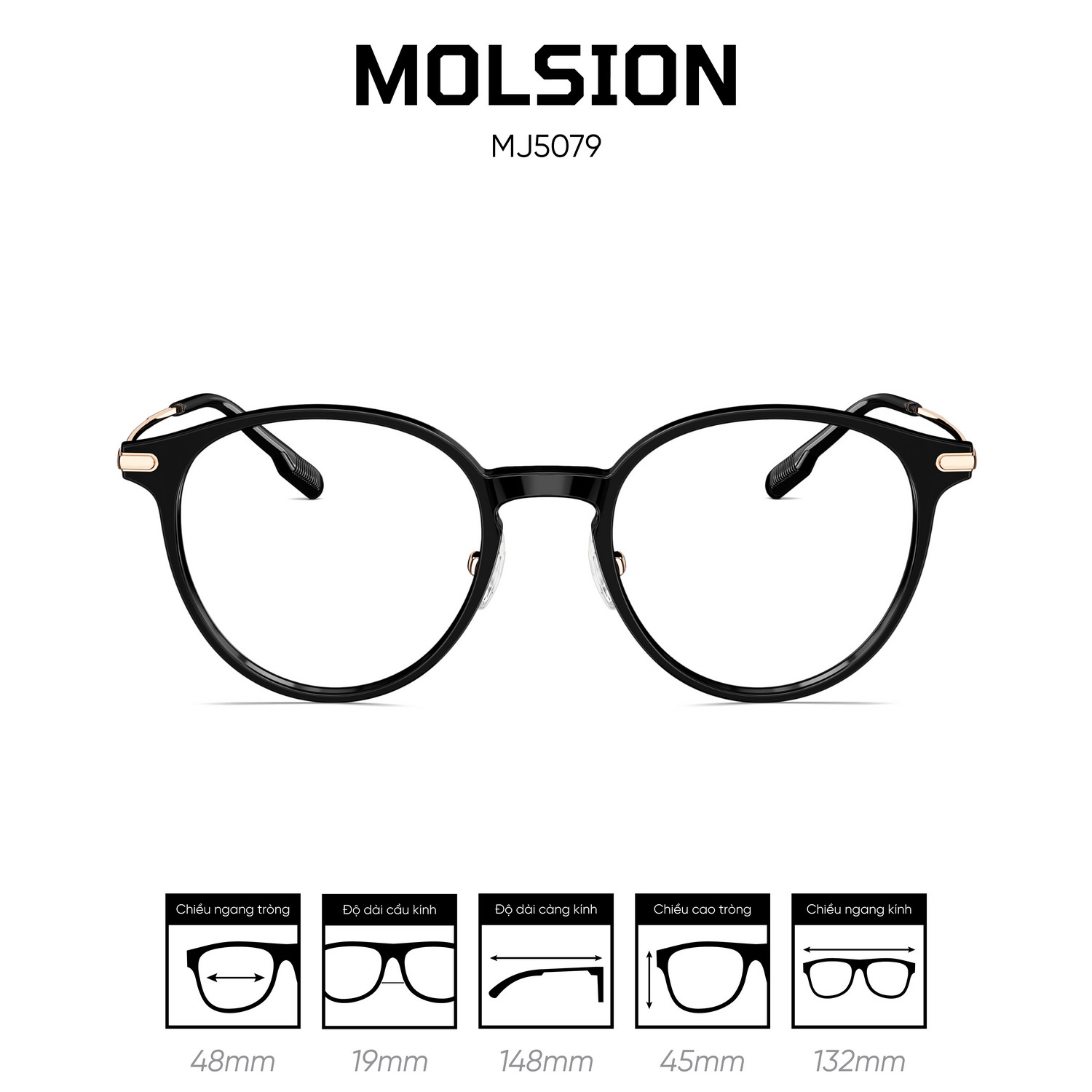 Khuôn mặt vuông nên chọn các dòng gọng kính Molsion dáng tròn, Oval