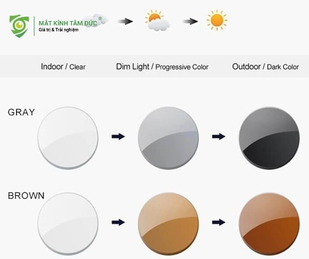 Tròng kính mắt cận thay đổi màu khi ra đường