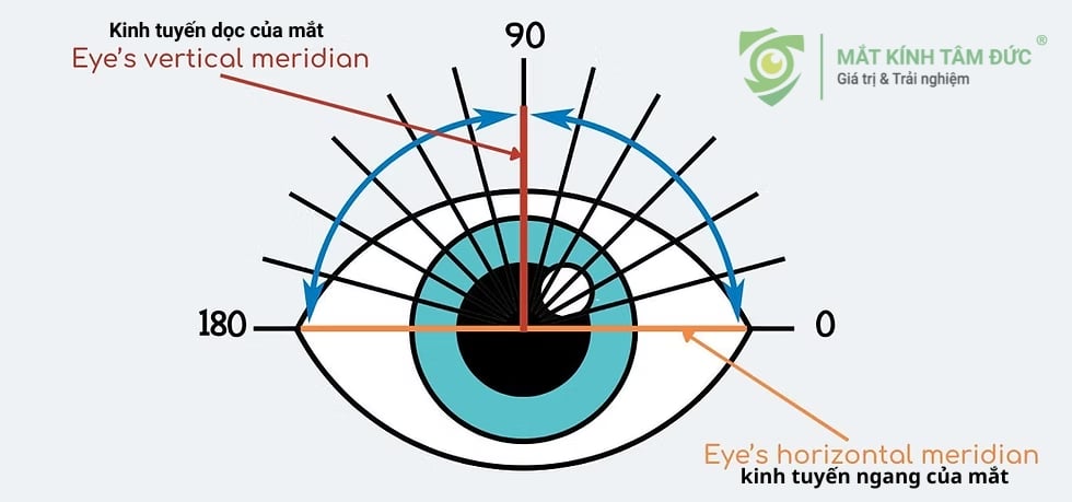 Trục loạn thị được xác định theo một vòng tròn 180⁰. Để bạn nhìn rõ, trục của thấu kính phải khớp hoàn toàn với trục của giác mạc.