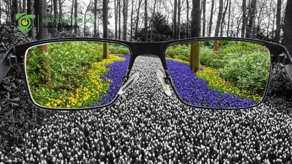 Rối loạn thị giác là gì và vì sao tình trạng này ảnh hưởng trực tiếp đến khả năng nhìn rõ của mắt