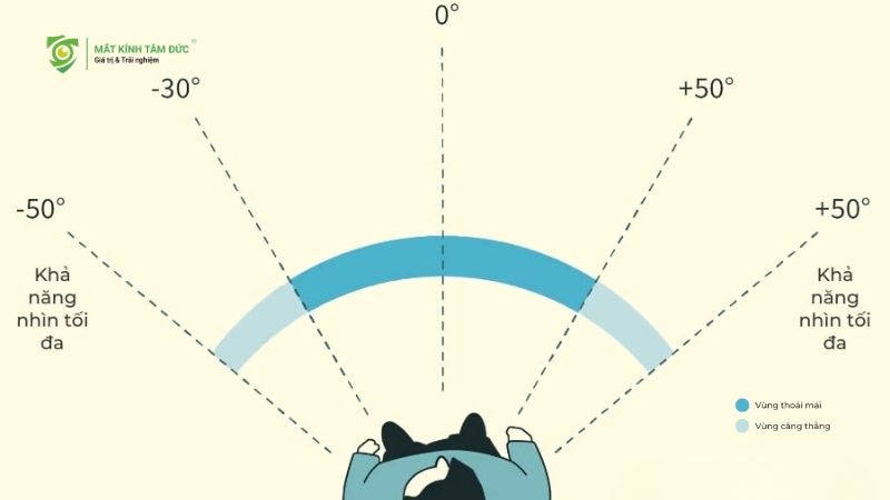 Đo thị trường mắt là gì? Khi nào cần đo thị trường mắt để bảo vệ thị lực