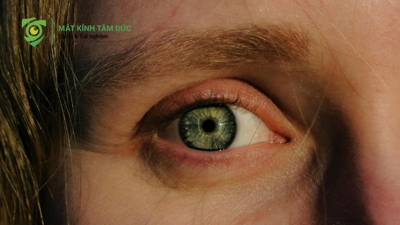 Đo thị trường mắt là gì? Khi nào cần đo thị trường mắt để bảo vệ thị lực