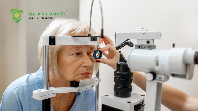 Đồng tử là gì? Vai trò và cách bảo vệ đồng tử khỏe mạnh