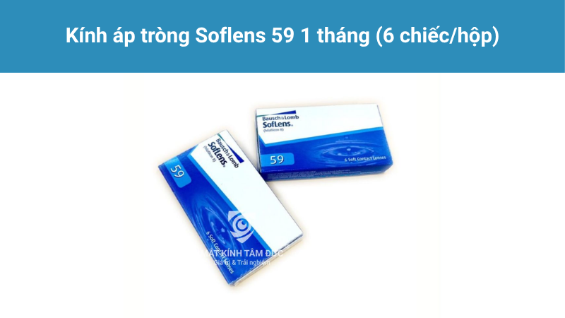 Kính áp tròng 1 tháng là lựa chọn phổ biến cho người dùng thường xuyên