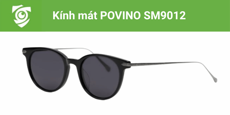 Kính mát POVINO SM9012 tại Mắt kính Tâm Đức