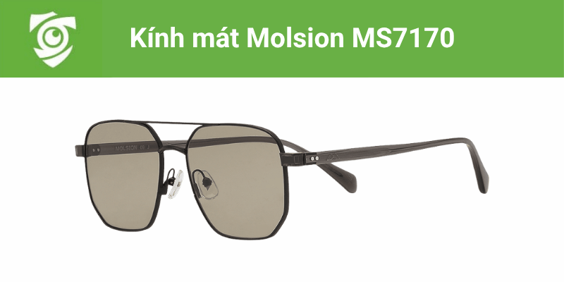 Kính mát Molsion MS7170 tại Mắt kính Tâm Đức