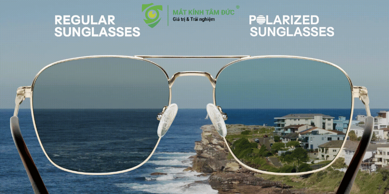 Công nghệ phân cực là điểm cộng rất đáng giá khi chọn mua kính mát thời trang nam
