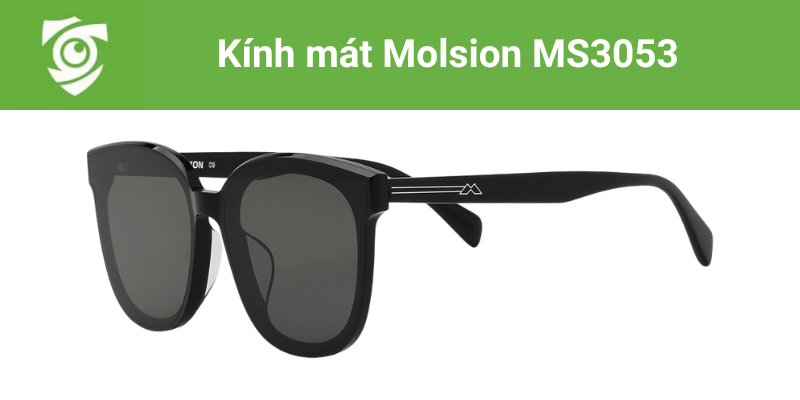 Kính râm nam hàng hiệu polarized phù hợp lái xe và hoạt động ngoài trời tại Mắt kính Tâm Đức