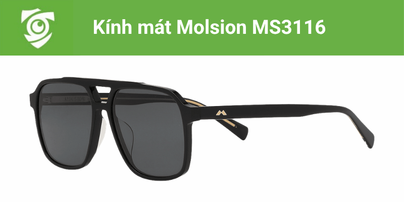 Kính mát Molsion MS3116 tại Mắt kính Tâm Đức