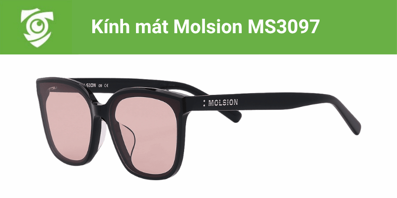 Kính mát Molsion MS3097 tại Mắt kính Tâm Đức
