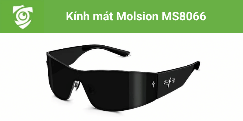 Kính mát Molsion MS8066 tại Mắt kính Tâm Đức