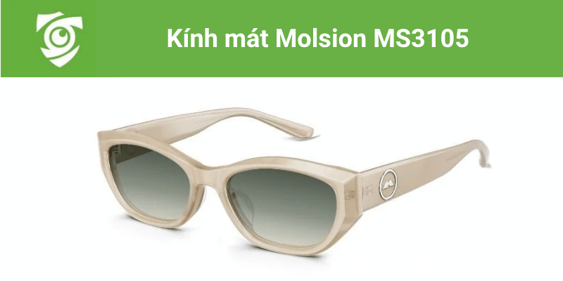 Kính mát Molsion MS3105 tại Mắt kính Tâm Đức