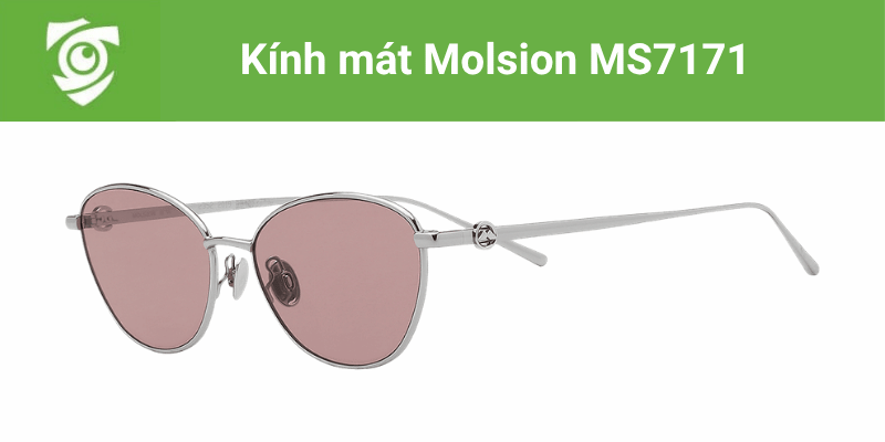 Kính mát chống tia UV Molsion MS7171 tại Mắt kính Tâm Đức